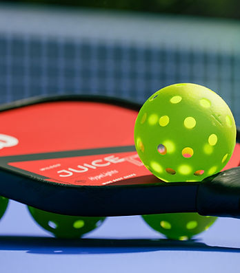 Pickleball Court Scene_edited.jpg